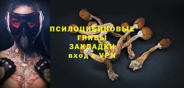МДПВ Лихославль