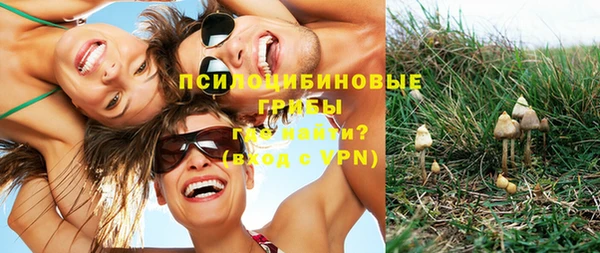 таблы Липки