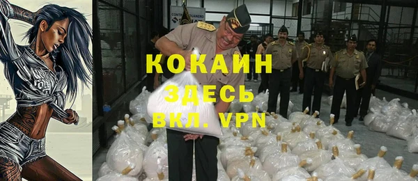 дживик Долгопрудный